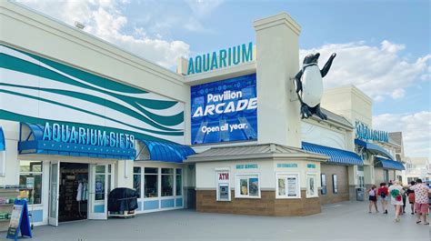 Jenkinsons aquarium - Specialties: Penguins, seals, sharks, turtles, monkeys and a sloth! Come Enjoy! Open year round. In the offseason open until 5pm and in the summer open from 10am-10pm. Adults $18, Seniors (65yrs & up) $13, Children (3-11yrs) $12, 2&under Free Established in 1991. Jenkinson's Aquarium is a welcome addition to the historic boardwalk that has been a prime vacation destination for over 100 years ... 